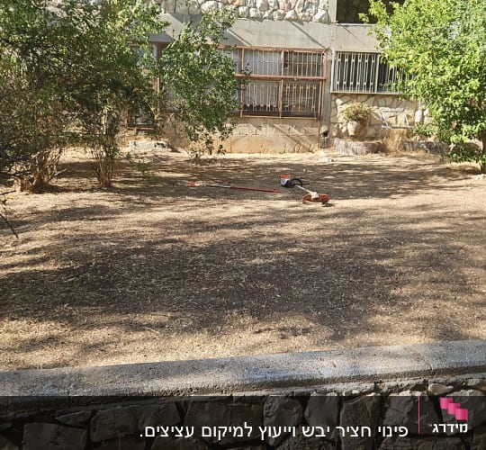 כלי גינון על הקרקע ליד שיחים ועצים